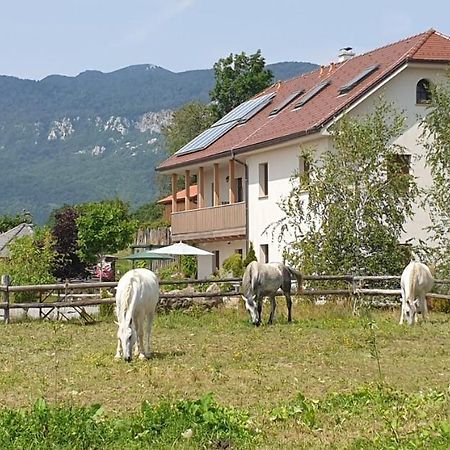 Lipizzaner Lodge Guest House Postojna Eksteriør bilde