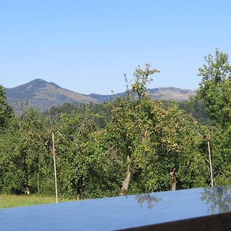 Lipizzaner Lodge Guest House Postojna Rom bilde
