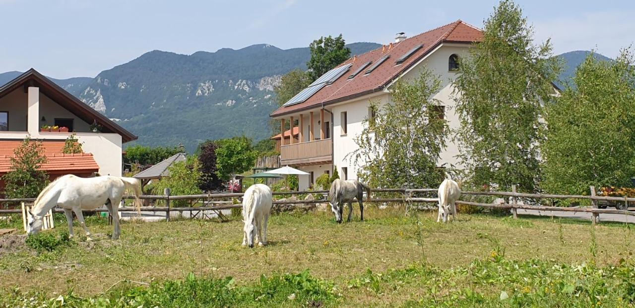 Lipizzaner Lodge Guest House Postojna Eksteriør bilde