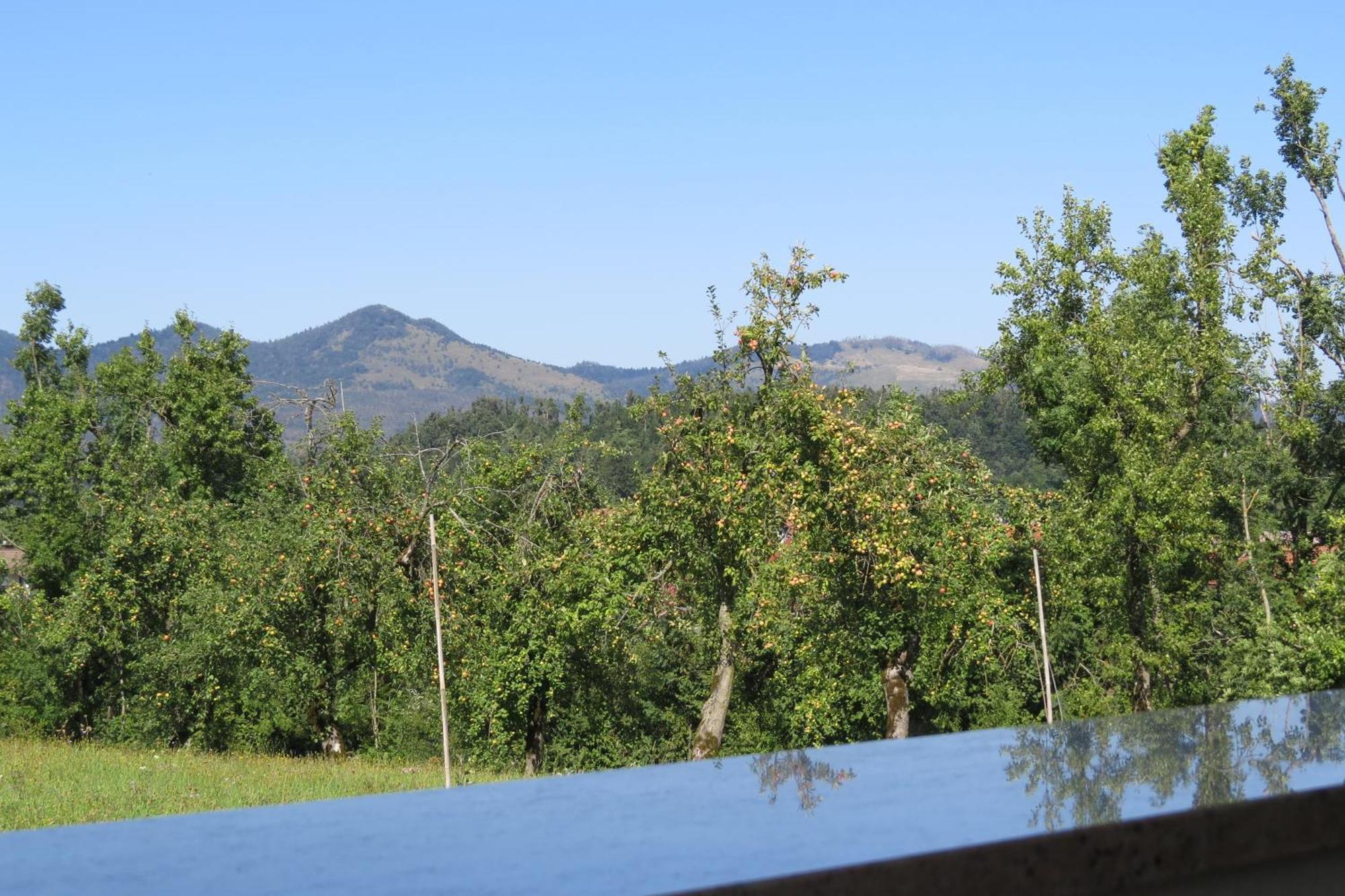 Lipizzaner Lodge Guest House Postojna Rom bilde
